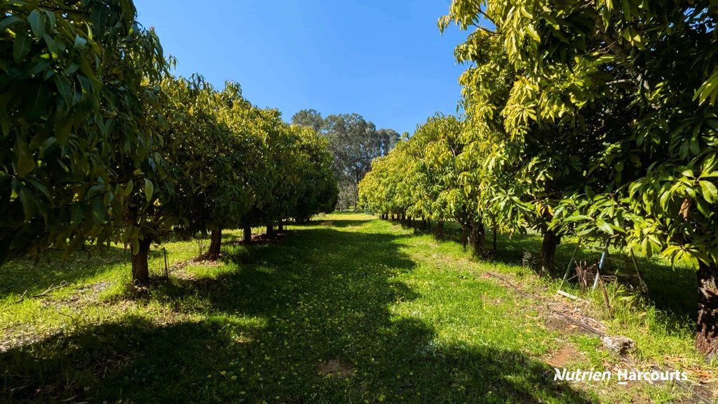 Adam Shields Realty | 328 Nabaroo Road COWALLA WA