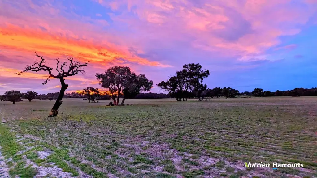 Adam Shields Realty | Lot 13 Military Road MUCKENBURRA WA