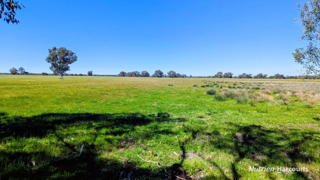 Adam Shields Realty | Lot 51 Millbank Road COWALLA WA