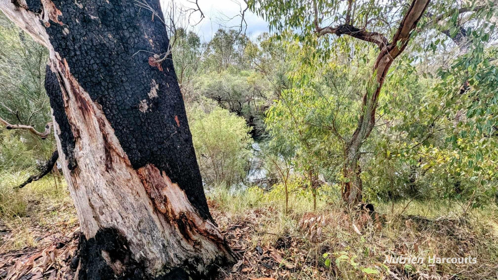 Adam Shields Realty | Lot 1389 Orange Springs Road, Orange Springs GINGIN WA