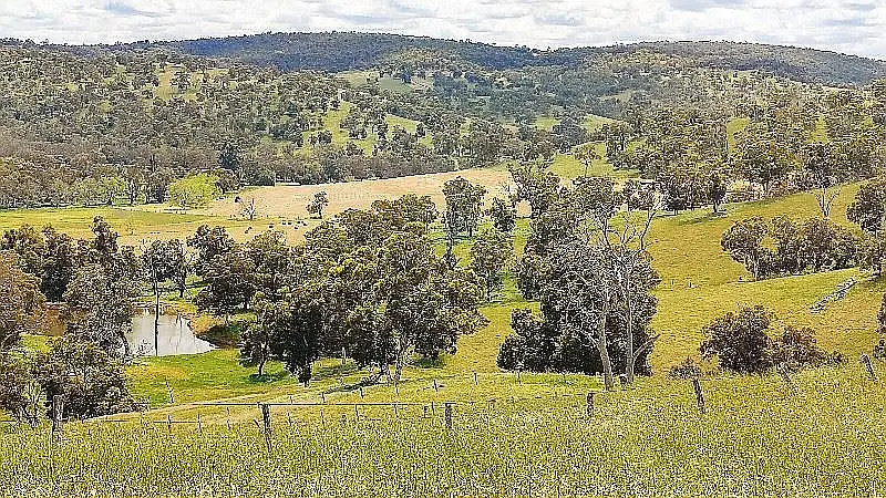 Adam Shields Realty | 2337 Chittering Road LOWER CHITTERING WA