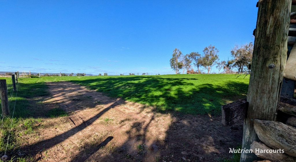 Adam Shields Realty | 271 Mayfield Road (Beermullah) GINGIN WA