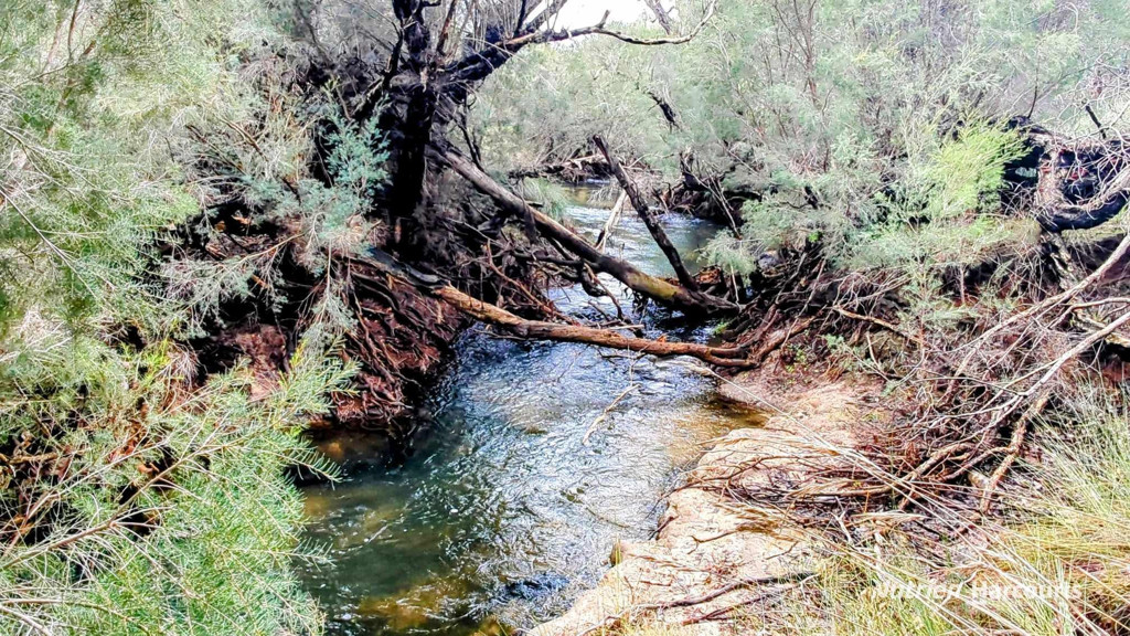 Adam Shields Realty | Lot 1389 Orange Springs Road, Orange Springs GINGIN WA