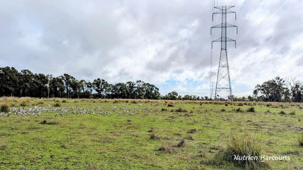 Adam Shields Realty | Lot 1389 Orange Springs Road, Orange Springs GINGIN WA