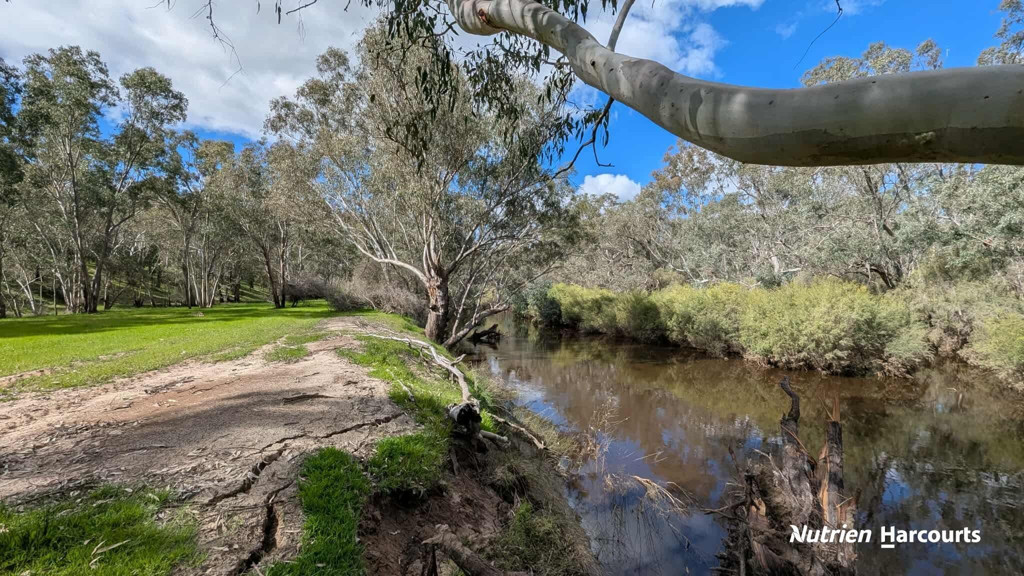 Adam Shields Realty | Lot 11 Woodbine Road REGANS FORD WA