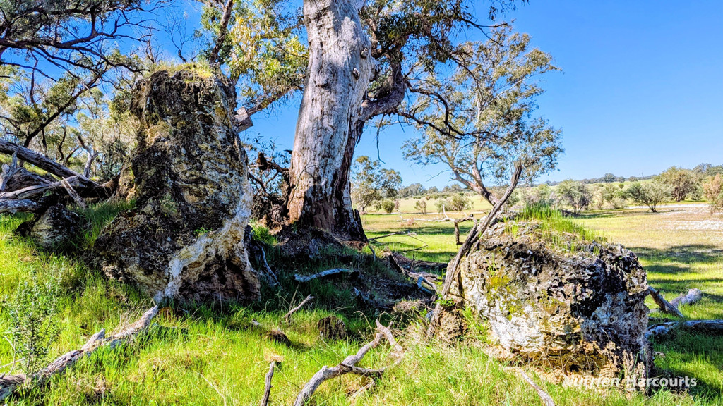 Adam Shields Realty | Lot 51 Millbank Road COWALLA WA