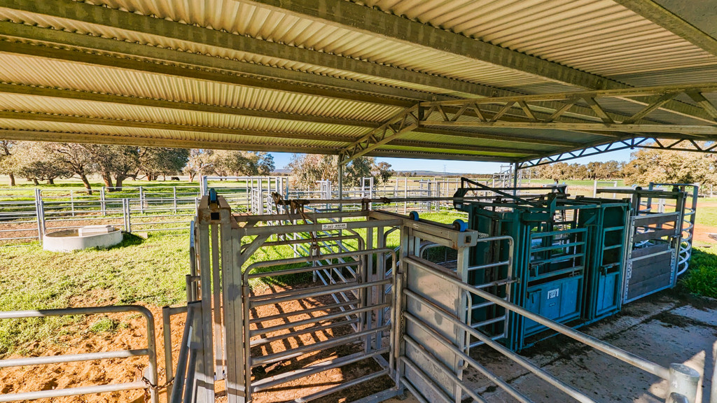 Adam Shields Realty | 245 Bootine Road BEERMULLAH WA