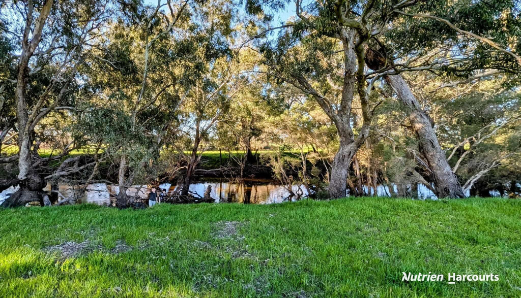 Adam Shields Realty | Lot 2 Orange Springs Road COWALLA WA
