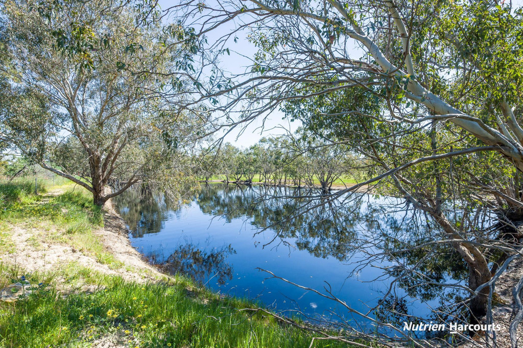 Adam Shields Realty | 1196 Bennies Road WANERIE WA