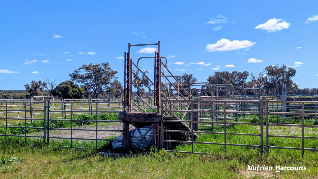 Adam Shields Realty | Lot 53 Cowalla Road COWALLA WA