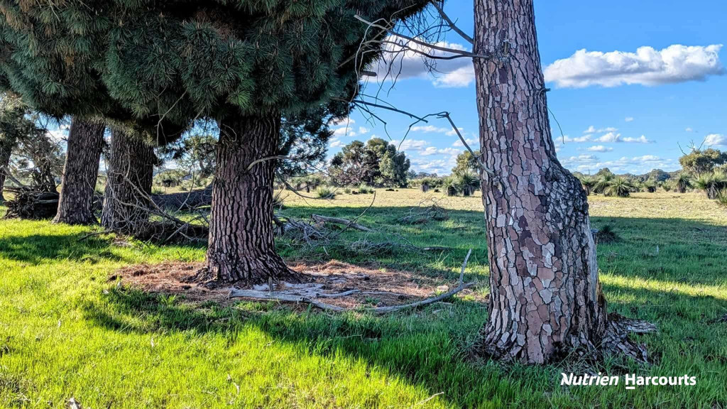 Adam Shields Realty | Lot 2 Orange Springs Road COWALLA WA