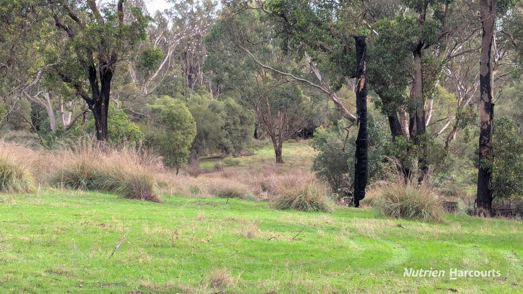 Adam Shields Realty | Lot 1389 Orange Springs Road, Orange Springs GINGIN WA