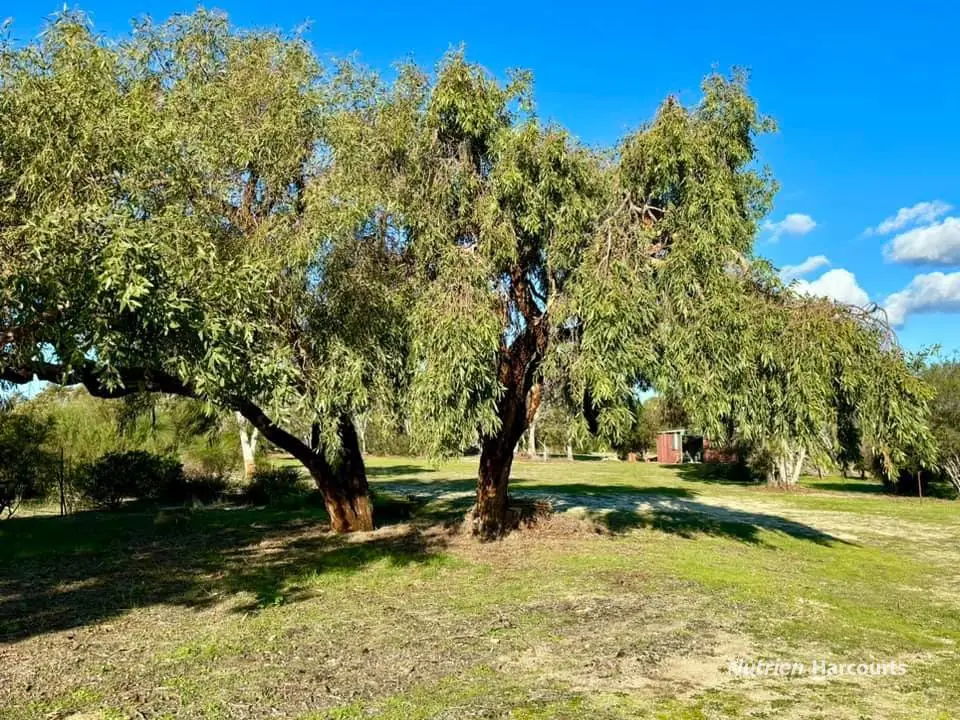 Adam Shields Realty | 151 Woolly Bush Loop WOODRIDGE WA