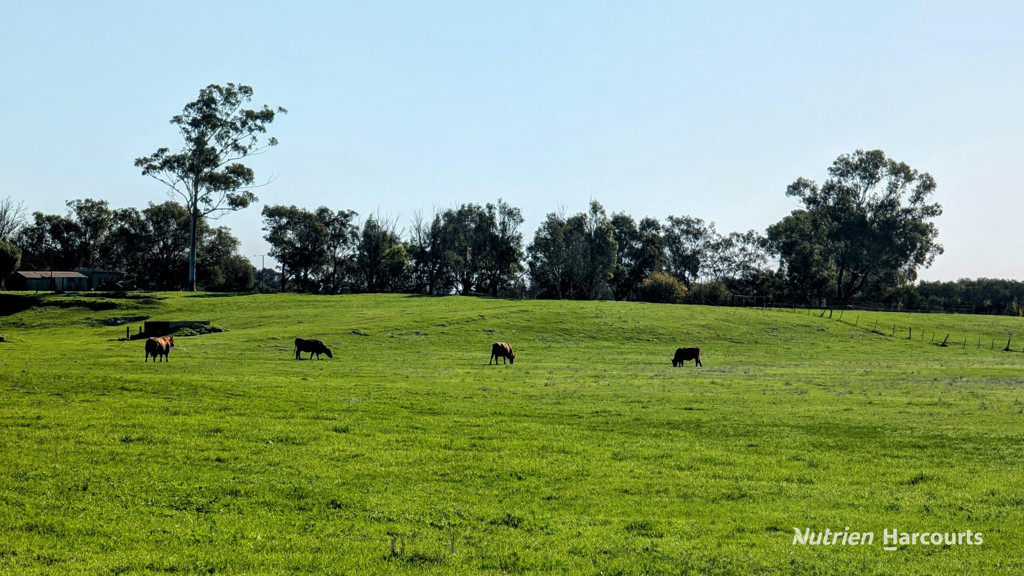 Adam Shields Realty | 271 Mayfield Road (Beermullah) GINGIN WA