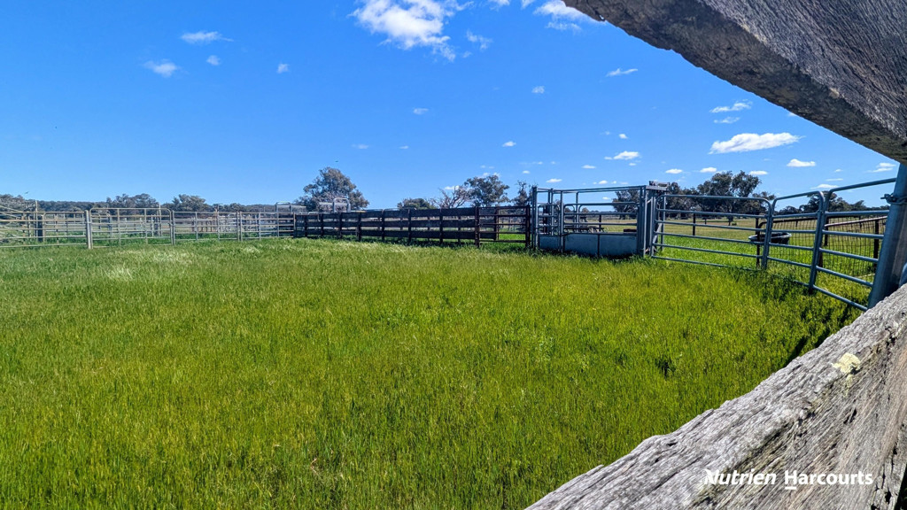 Adam Shields Realty | Lot 53 Cowalla Road COWALLA WA