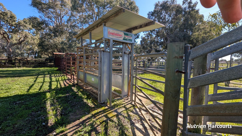 Adam Shields Realty | 1381 Brand Highway MUCHEA WA