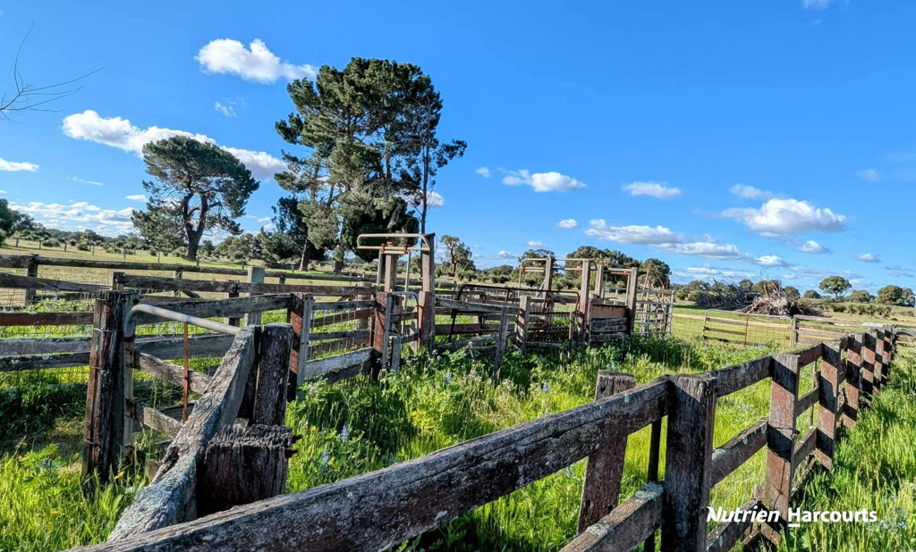 Adam Shields Realty | Lot 2 Orange Springs Road COWALLA WA