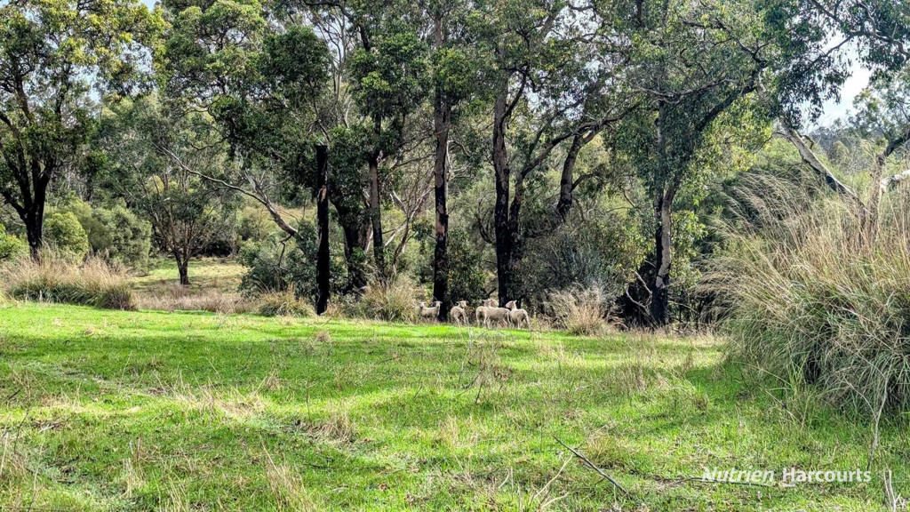 Adam Shields Realty | Lot 1389 Orange Springs Road, Orange Springs GINGIN WA