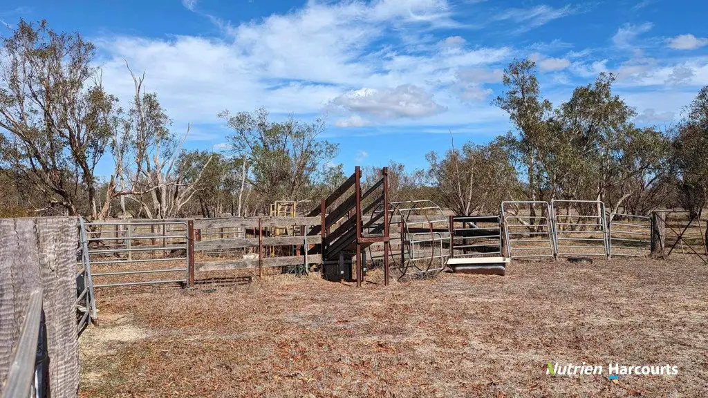 Adam Shields Realty | 1196 Bennies Road WANERIE WA