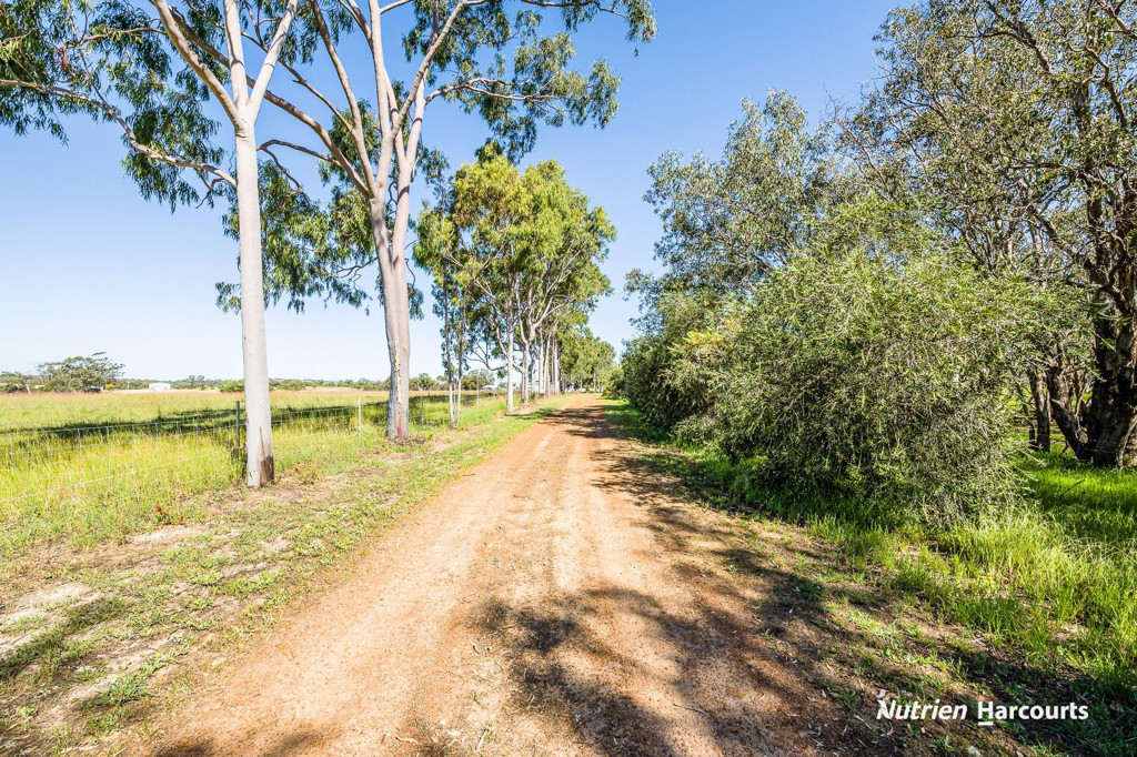 Adam Shields Realty | 1196 Bennies Road WANERIE WA
