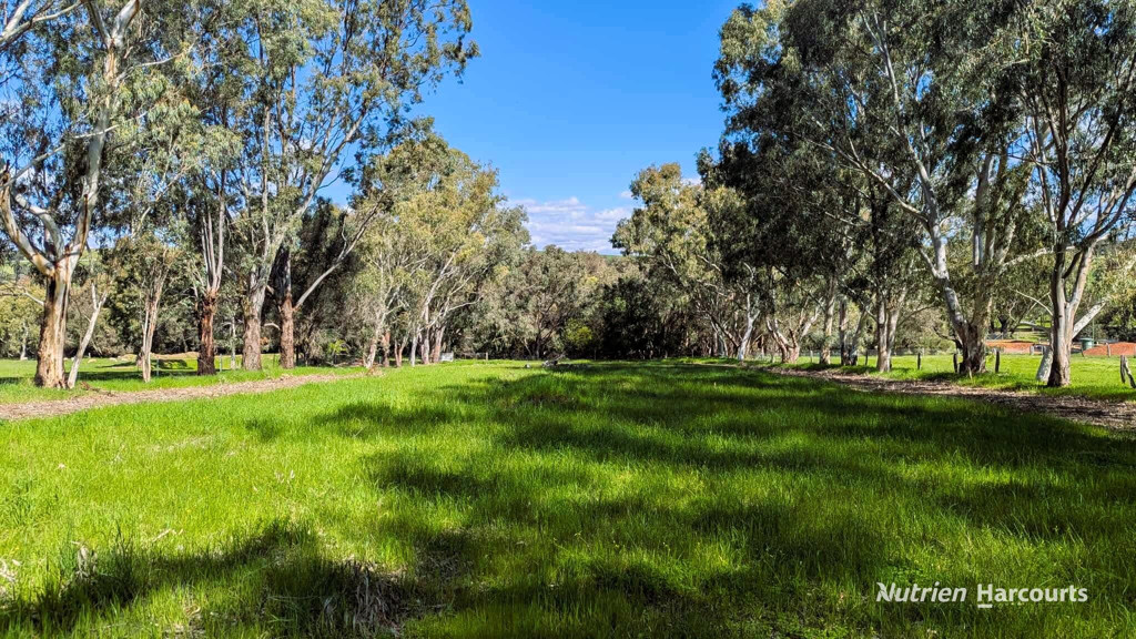 Adam Shields Realty | 72 Robinson Street GINGIN WA