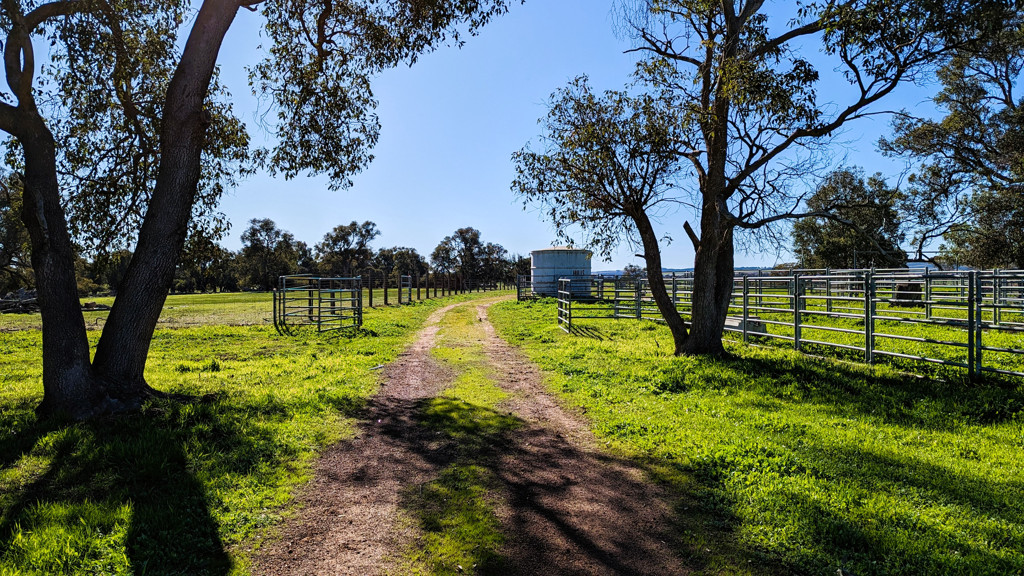 Adam Shields Realty | 245 Bootine Road BEERMULLAH WA