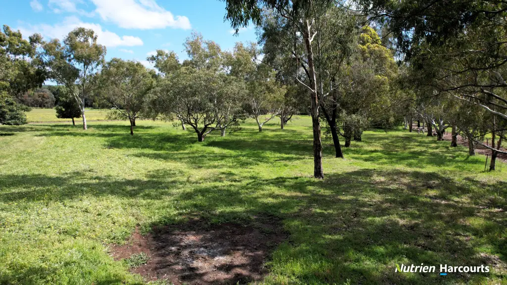 Adam Shields Realty | Lot 3, 40 Lefroy Street GINGIN WA