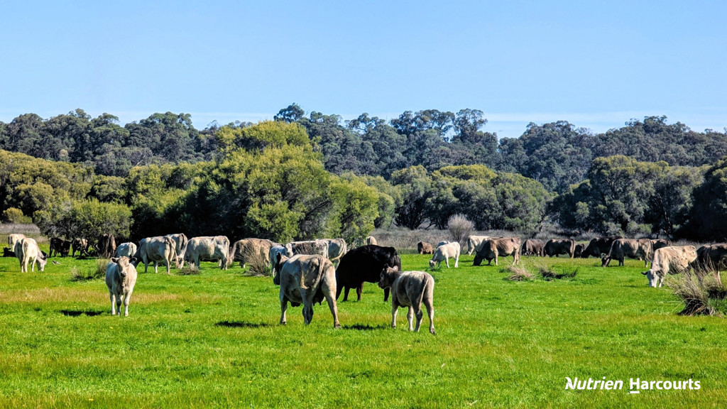 Adam Shields Realty | Lot 52 Cowalla Road COWALLA WA