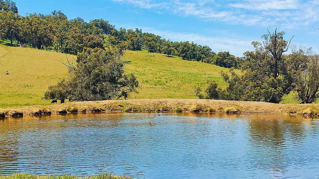 Adam Shields Realty | 2337 Chittering Road LOWER CHITTERING WA