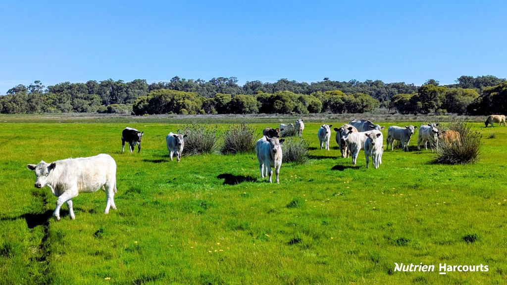 Adam Shields Realty | Lot 52 Cowalla Road COWALLA WA