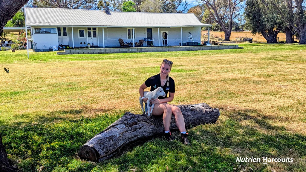 Adam Shields Realty | 7606 Brand Highway REGANS FORD WA