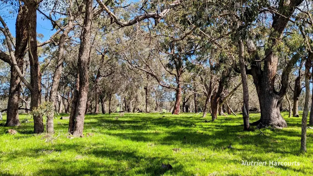 Adam Shields Realty | 1189 Wannamal Road, Cullalla GINGIN WA