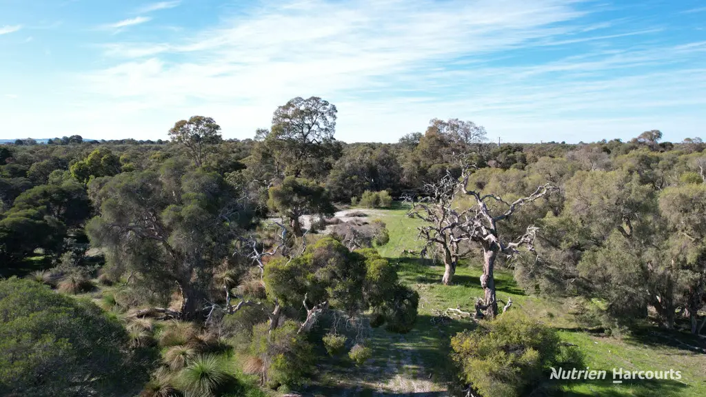 Adam Shields Realty | Lot 45 Gingin Brook Road MUCKENBURRA WA
