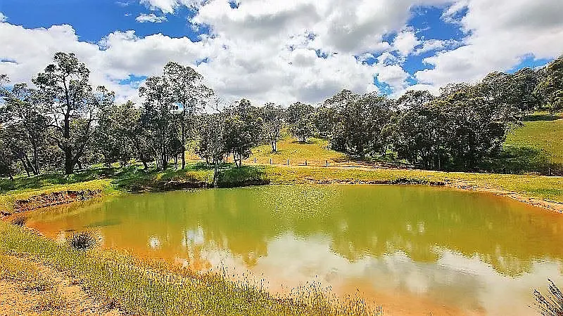 Adam Shields Realty | 2337 Chittering Road LOWER CHITTERING WA