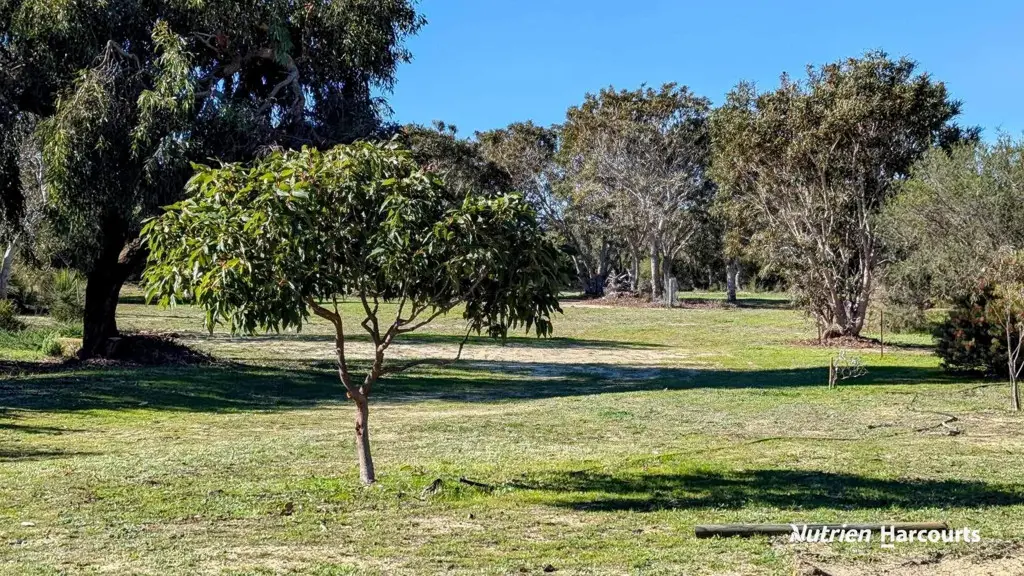 Adam Shields Realty | 151 Woolly Bush Loop WOODRIDGE WA