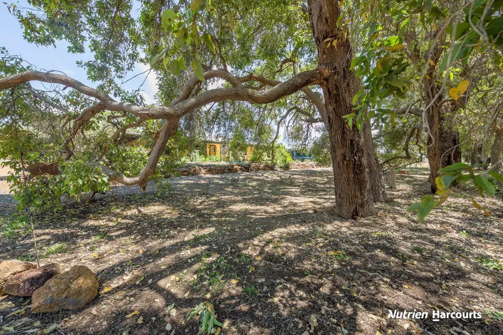 Adam Shields Realty | 13 Cheriton Road GINGIN WA