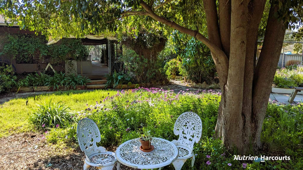 Adam Shields Realty | 328 Nabaroo Road COWALLA WA