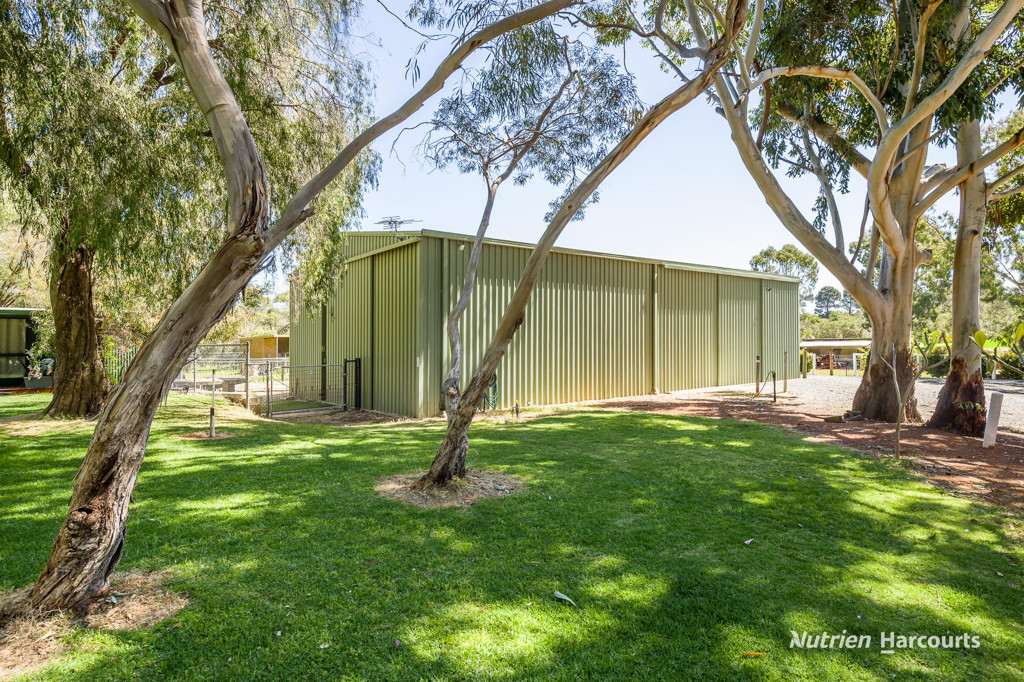 Adam Shields Realty | 38 St Andrews Court WOODRIDGE WA