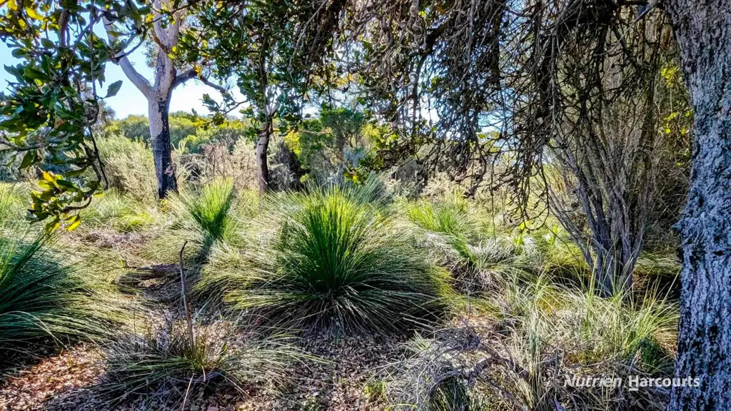 Adam Shields Realty | Lot 45 Gingin Brook Road MUCKENBURRA WA